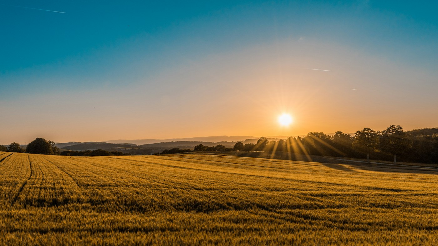 Campo rural con plataforma de gestión Tranqueras Inteligentes